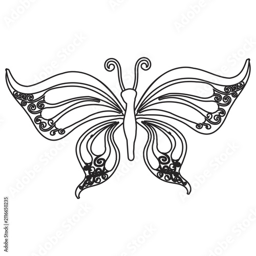Butterfly in doodle style, linear drawing. Vector illustration isolated on white background.