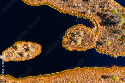 Cuadro en lienzo Aerial view of still bog water between peat islands in Kemeri National Park, Latvia