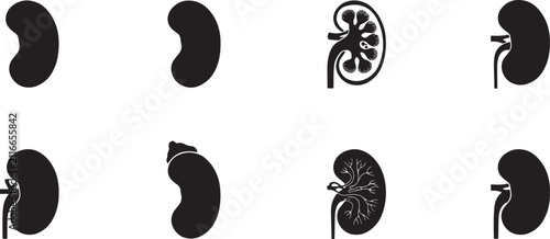 Black Human Kidney Silhouettes Collection – Medical Anatomy Vector Stencil Set. silhouette icons vector