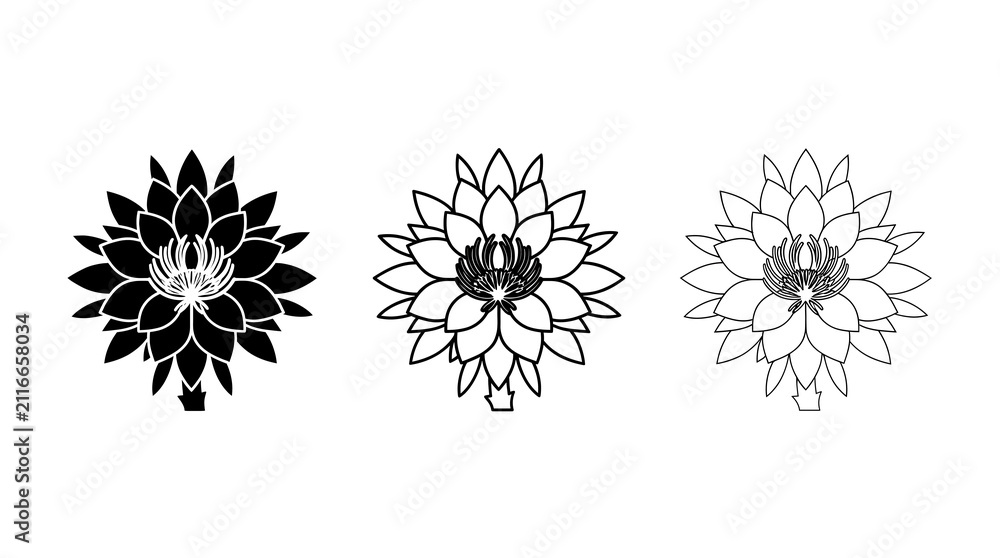 Obraz premium Lotus flower icon set. Floral bloom symbols isolated on transparent background