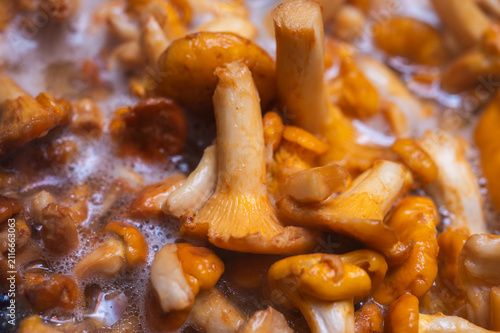 Close-up of golden chanterelle mushrooms cooking in boiling water. Macro view of fresh forest fungi, gourmet culinary preparation, organic food texture, selective focus, blur, background