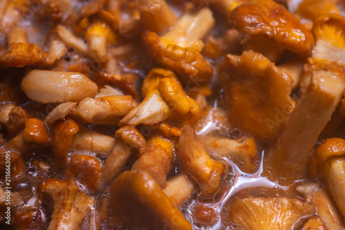 Close-up of golden chanterelle mushrooms cooking in boiling water. Macro view of fresh forest fungi, gourmet culinary preparation, organic food texture, selective focus, blur, background