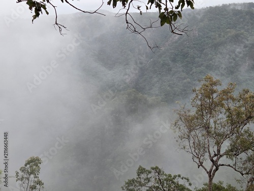 Foto Descriptive Title:
Dense low-hanging fog and mist obscuring the rainforest canyo