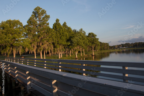 Quadro su tela A dock at Lake Henderson in Wallace Brooks Park, Inverness, Florida