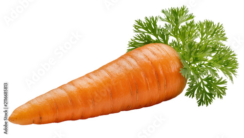 Canvas Print Isolated fresh vibrant orange carrot with green leafy top, healthy organic root