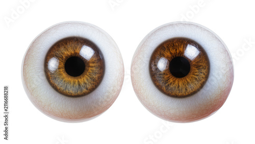Fotografie Isolated pair of realistic human eyeballs showing detailed brown irises and scle