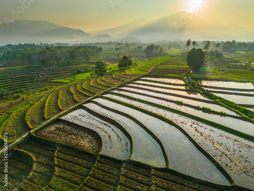 Aerial view of lush green rice terraces at sunrise with palm trees and distant mountains in Bali, Indonesia.