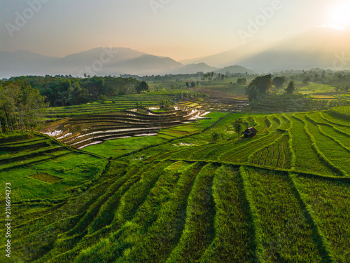 Aerial view of lush green rice terraces at sunrise with palm trees and distant mountains in Bali, Indonesia.