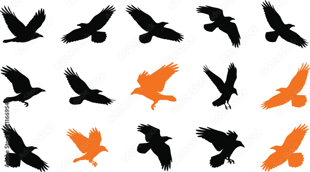 Fototapeta premium Collection of black and orange flying raven silhouettes for halloween design projects isolated on transparent background