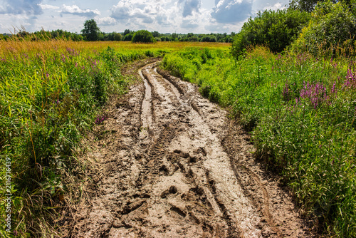Deep muddy track carved by ATV tires through a grassy summer marsh, showing rough ruts in moist ground surrounded by wildflowers under a bright blue sky with fluffy clouds