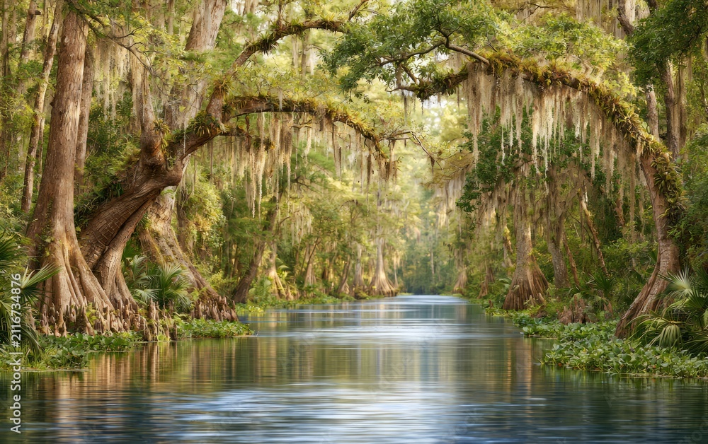 Obraz premium Serene Freshwater Swamp Surrounded by Ancient Trees in a Tranquil Landscape Scene