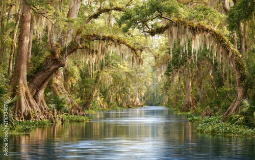 Serene Freshwater Swamp Surrounded by Ancient Trees in a Tranquil Landscape Scene