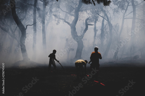 Firefighters Battling a Forest Wildfire Through Thick Smoke. Emergency Crew Fighting a Wildfire in the Forest. Firefighters Extinguishing a Forest Fire Amid Heavy Smoke.