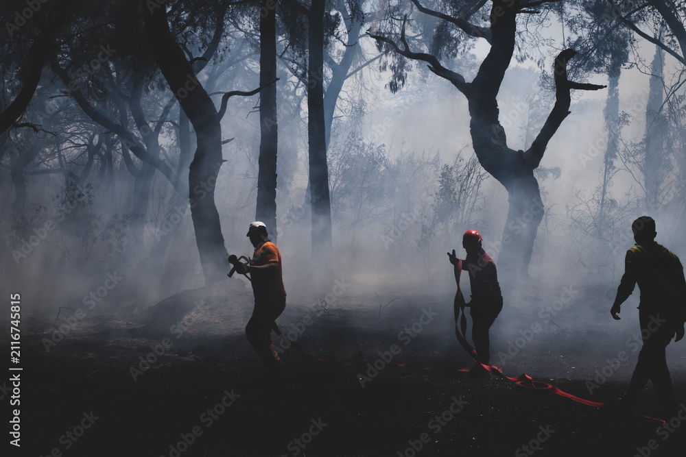 Obraz premium Firefighters Battling a Forest Wildfire Through Thick Smoke. Emergency Crew Fighting a Wildfire in the Forest. Firefighters Extinguishing a Forest Fire Amid Heavy Smoke.