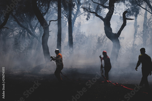 Firefighters Battling a Forest Wildfire Through Thick Smoke. Emergency Crew Fighting a Wildfire in the Forest. Firefighters Extinguishing a Forest Fire Amid Heavy Smoke.
