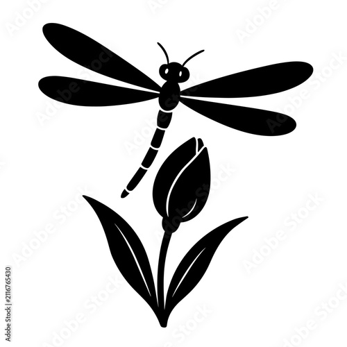фотографія Dragonfly Tulip Garden Insect Wildlife Spring
