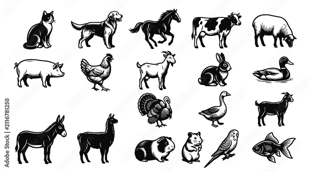 Obraz premium Domestic Animals Black White Line Art Collection: Farm, Livestock Pet Illustrations Set