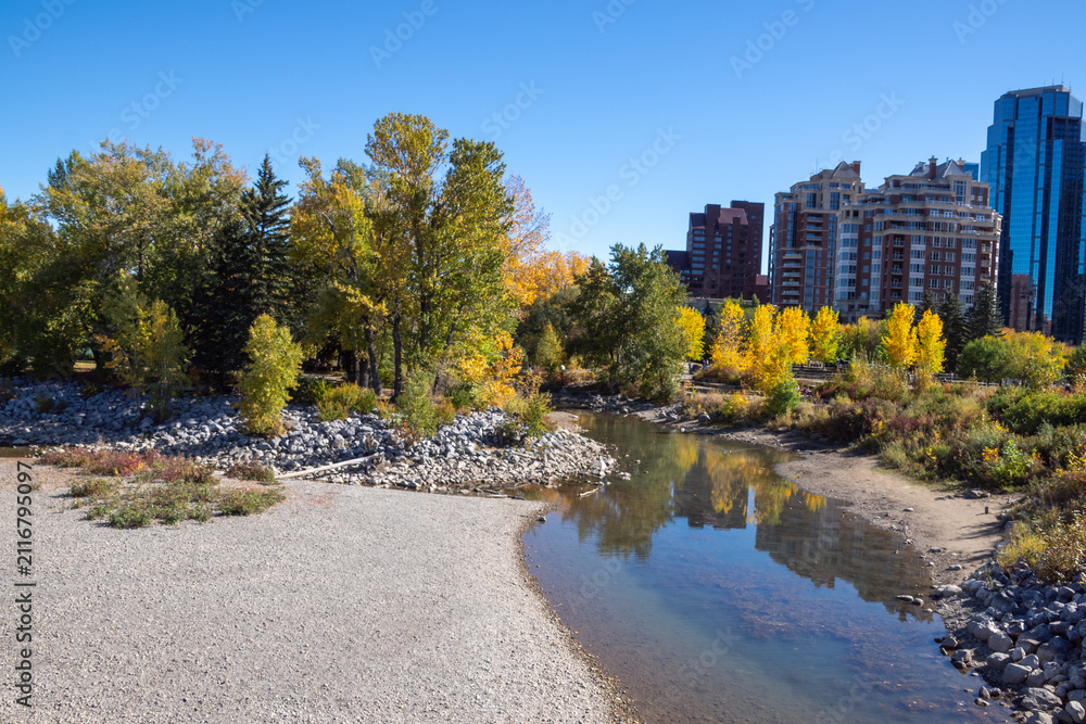 Fototapeta premium Autumn foliage in Prince's Island Park along the Bow River with Calgary downtown skyline under a blue sky