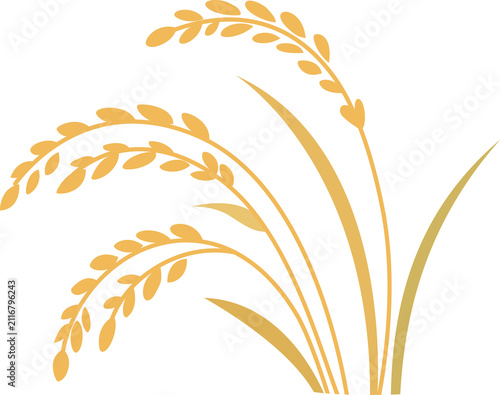 Golden Rice Stalks Harvest Field Vector Illustration