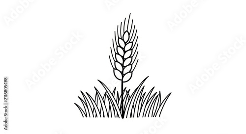 Wheat plant in a field illustration.