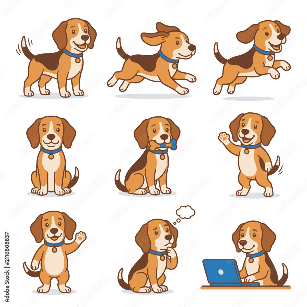 Fototapeta premium Collection of cute beagle dog character poses and actions.