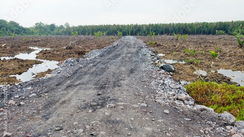 A wide shot of a newly constructed, unpaved gravel and rock access road stretching straight through a cleared agricultural or industrial site. On either side of the rough dirt pathway lies muddy terra