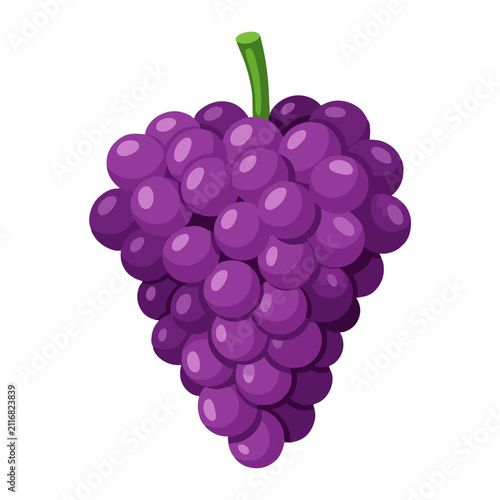 Cuadro en lienzo A Bunch of Ripe Purple Grapes on a White Background.