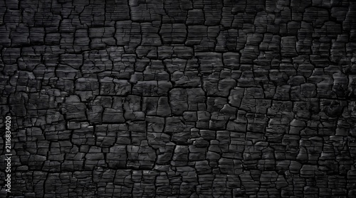 close-up photograph of a charred wood surface featuring intricate cracks, dark black tones, and a rough burnt bark texture.