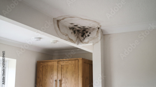 Water damage and black mold on a ceiling corner in a residential home interior