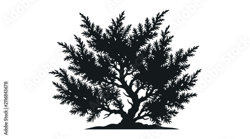 Obraz na plátně Small tree silhouette with a visible trunk and branches stands out against a stark white background, emphasizing its structural form