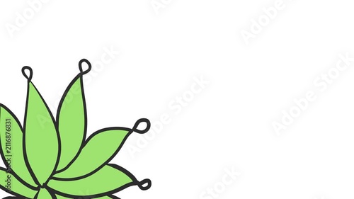 A plant with large leaves flashes colorful leaf tips.