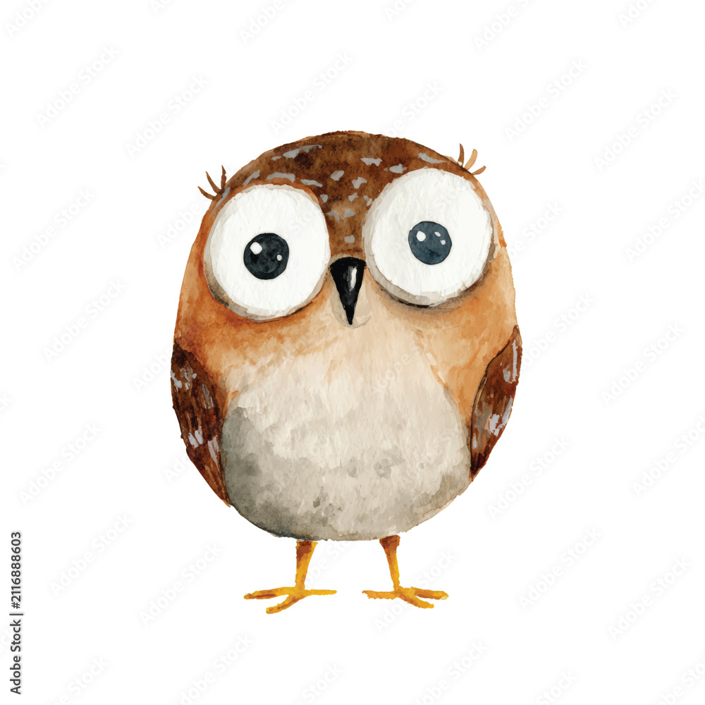 Fototapeta premium Brown Owl with Large White Eyes.