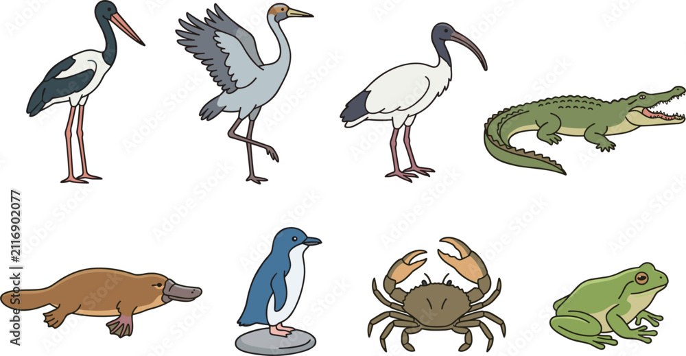 Obraz premium Australian Wetlands and Coastline Animals Vector Set Featuring Crane Stork Ibis Crocodile Platypus Fairy Penguin Crab and Tree Frog Cartoon Icons Graphic