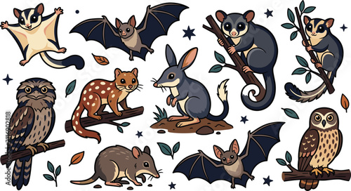 Australian Nocturnal Animals Vector Illustration Set Featuring Bilby Quoll Sugar Glider Ringtail Possum Bandicoot Microbats Tawny Frogmouth and Boobook Owl Night Wildlife
