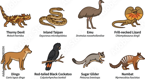 Fotografía Australian Native Wildlife Collection with Thorny Devil Inland Taipan Emu Frill-