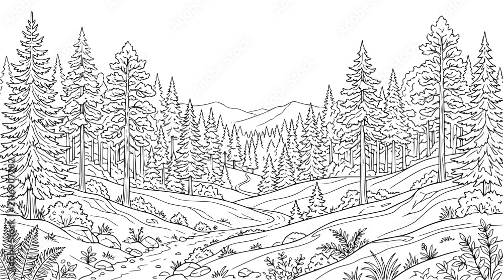 Naklejka premium forest landscape coloring page with pine trees mountains and winding path line art