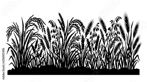 Silhouette of Various Cereal Crops Including Wheat Oats Barley and Rye