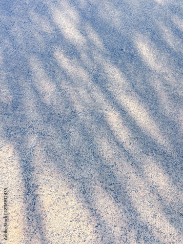 Tree shadow on the concrete ground.