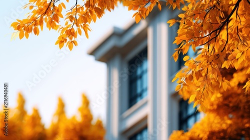 Vibrant autumn leaves frame a classic building's facade under a clear sky, symbolizing seasonal beauty.