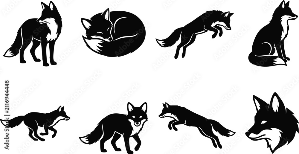 Fototapeta premium Set of fox vector silhouettes featuring standing, sleeping, pouncing, running, and head portrait poses