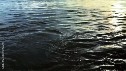 Water Waves Reflection Glowing Under Bright Natural Sunlight On Surface