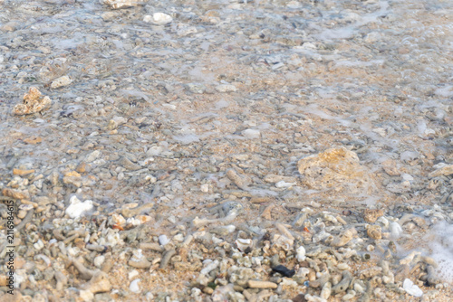 Close-Up of Coral Fragments and Seashells Scattered on Tropical Sandy Beach Shoreline Texture