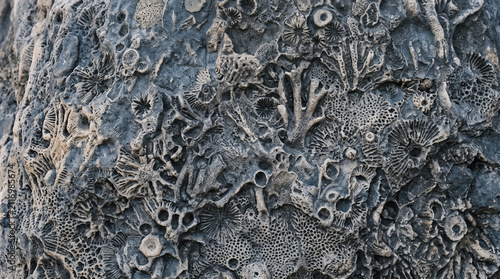 Close-up of textured sandy surface with footprints. Natural landscape detail for travel or outdoor themes.