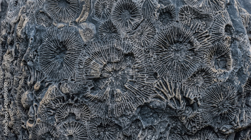 Close-up of textured dark gray surface with intricate patterns. Abstract background for design projects and visual arts.