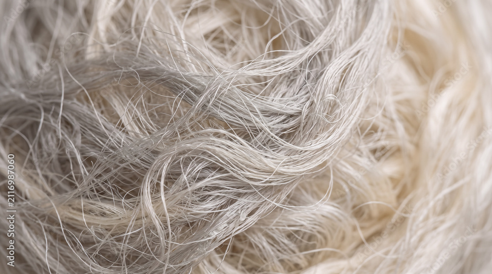 Obraz premium Close-up of curly gray hair. Textured hairstyle with natural silver tones. Senior woman with elegant hair styling.