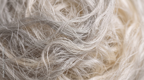 Close-up of curly gray hair. Textured hairstyle with natural silver tones. Senior woman with elegant hair styling.