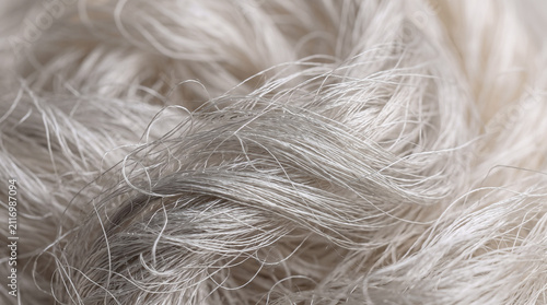 Close-up of silver hair strands. Elegant metallic hair texture with shiny, textured strands for beauty and fashion themes.