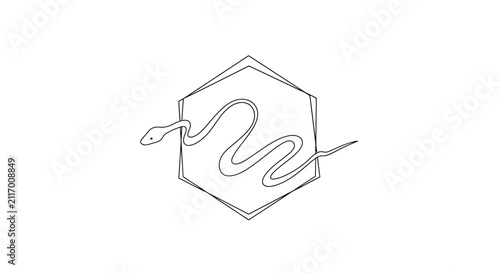 hexagon line art, snake inside