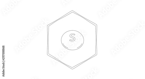 hexagon logo with letter s