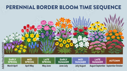 Foto Perennial Border Designed with Bloom Time Sequence